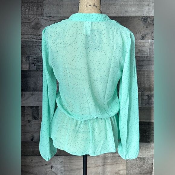 Francesca’s Collection Mint Green Polka Dot Sheer Top, Long Sleeves, Size Small - Picture 4 of 8
